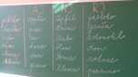 Den jazyků 1. stupeň